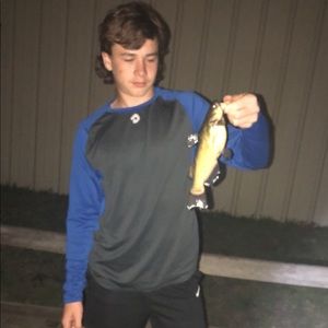 Meet your Posher, Hayden